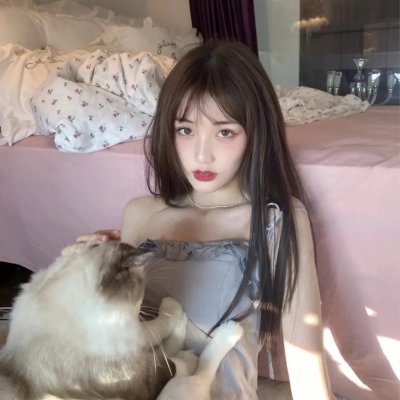 犯罪生涯